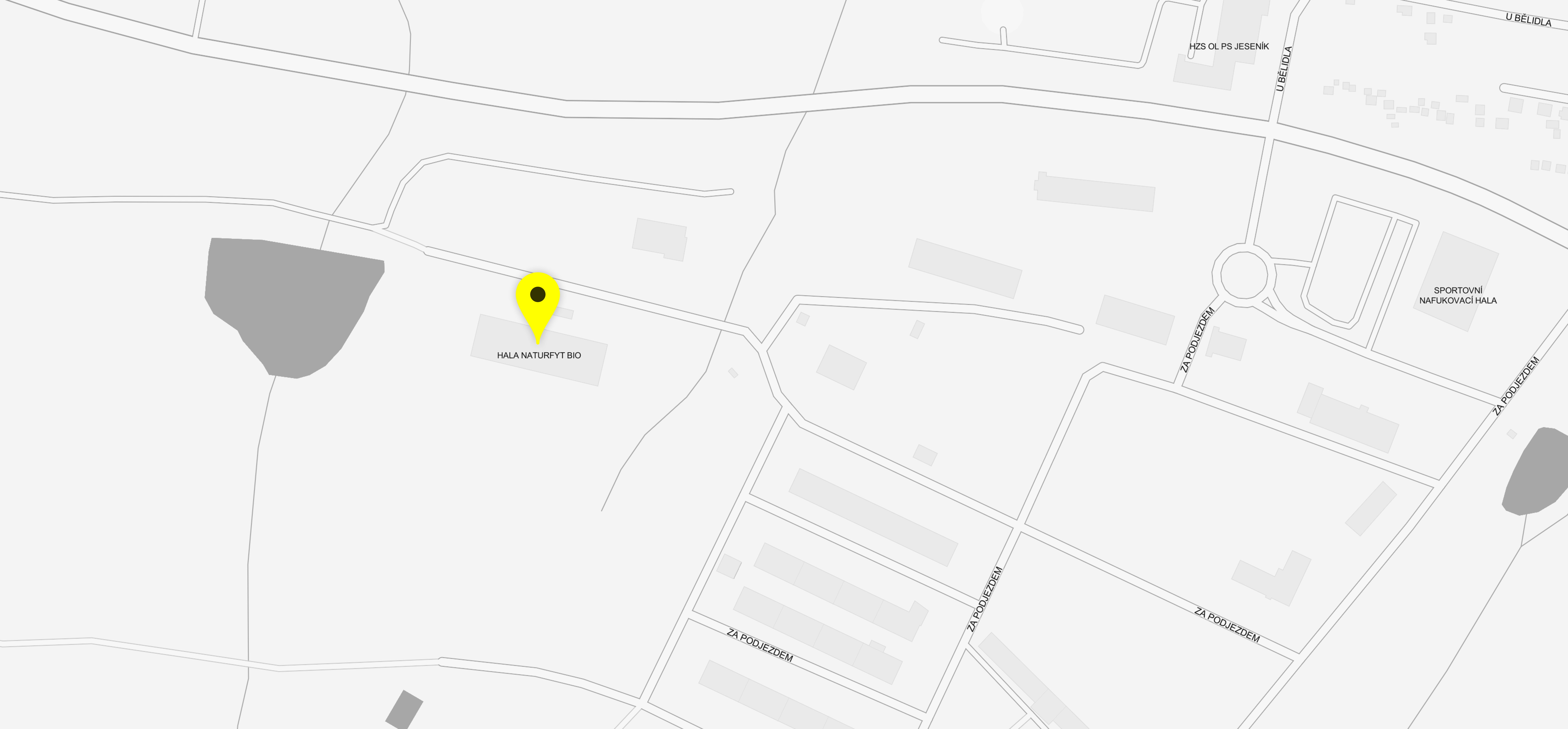 Shipping address – map