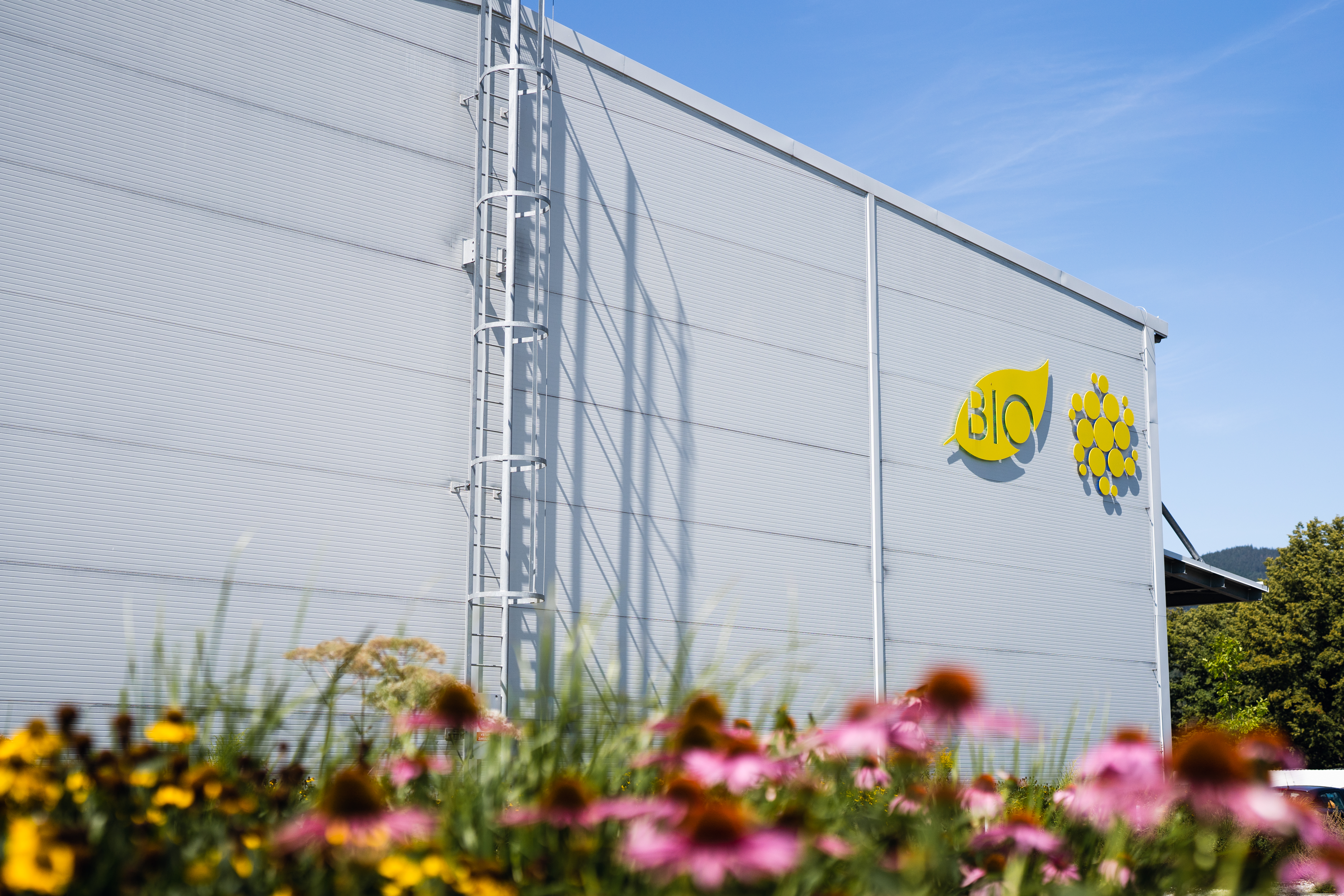 Photograph of company hall with logo